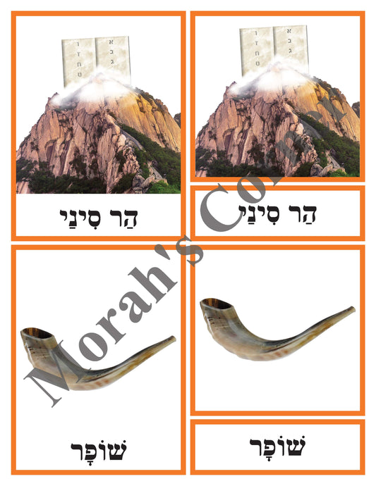 Shavuot- 3 Part Cards