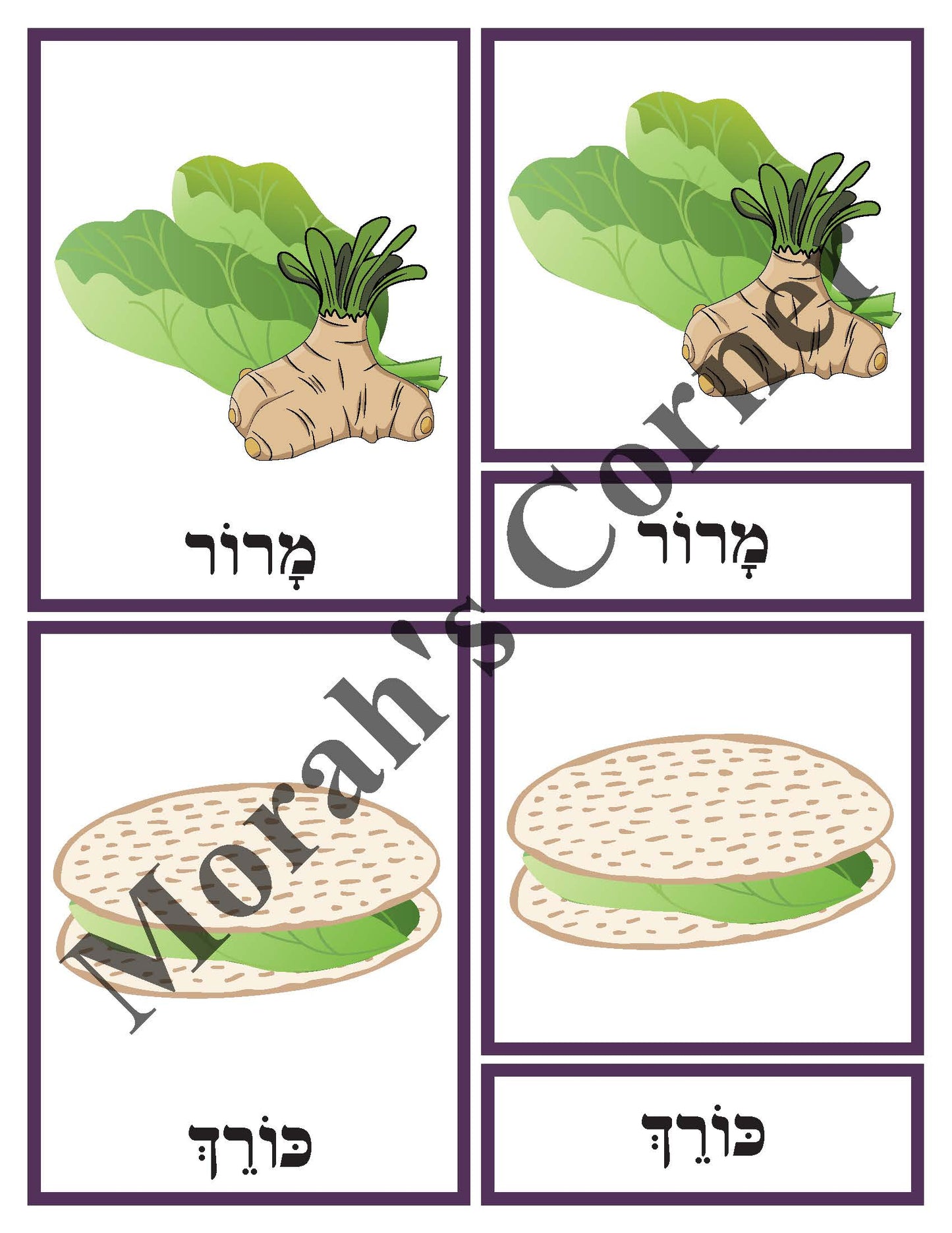 Steps of the Seder- 3 Part Cards