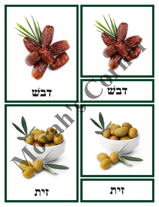 Work Trays- Shivas Haminim 3 part cards