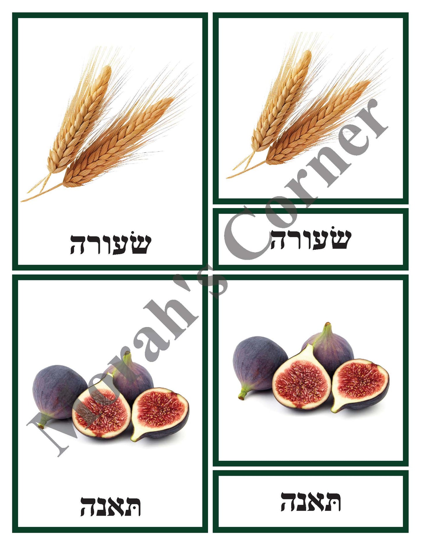 Work Trays- Shivas Haminim 3 part cards